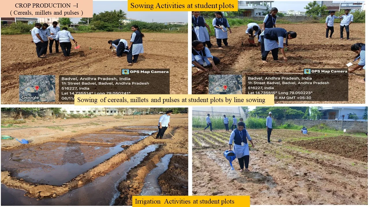 Sowing activities at the student plots