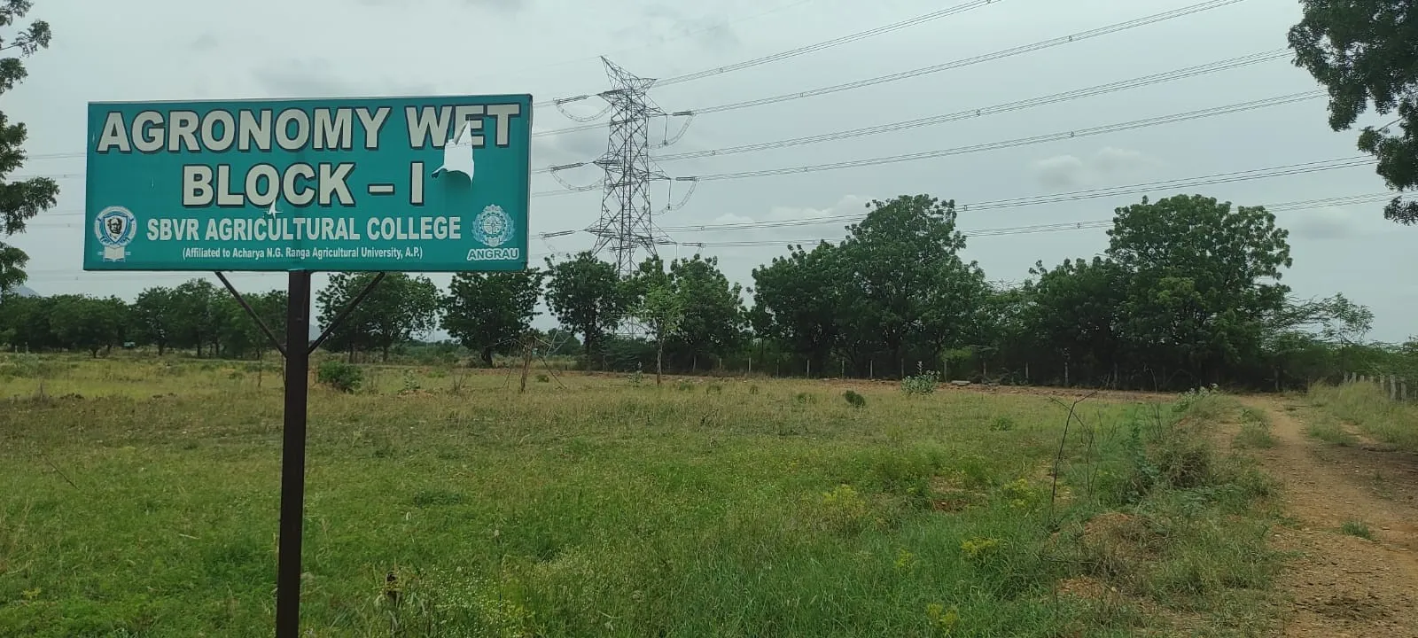 Agronomy wet block