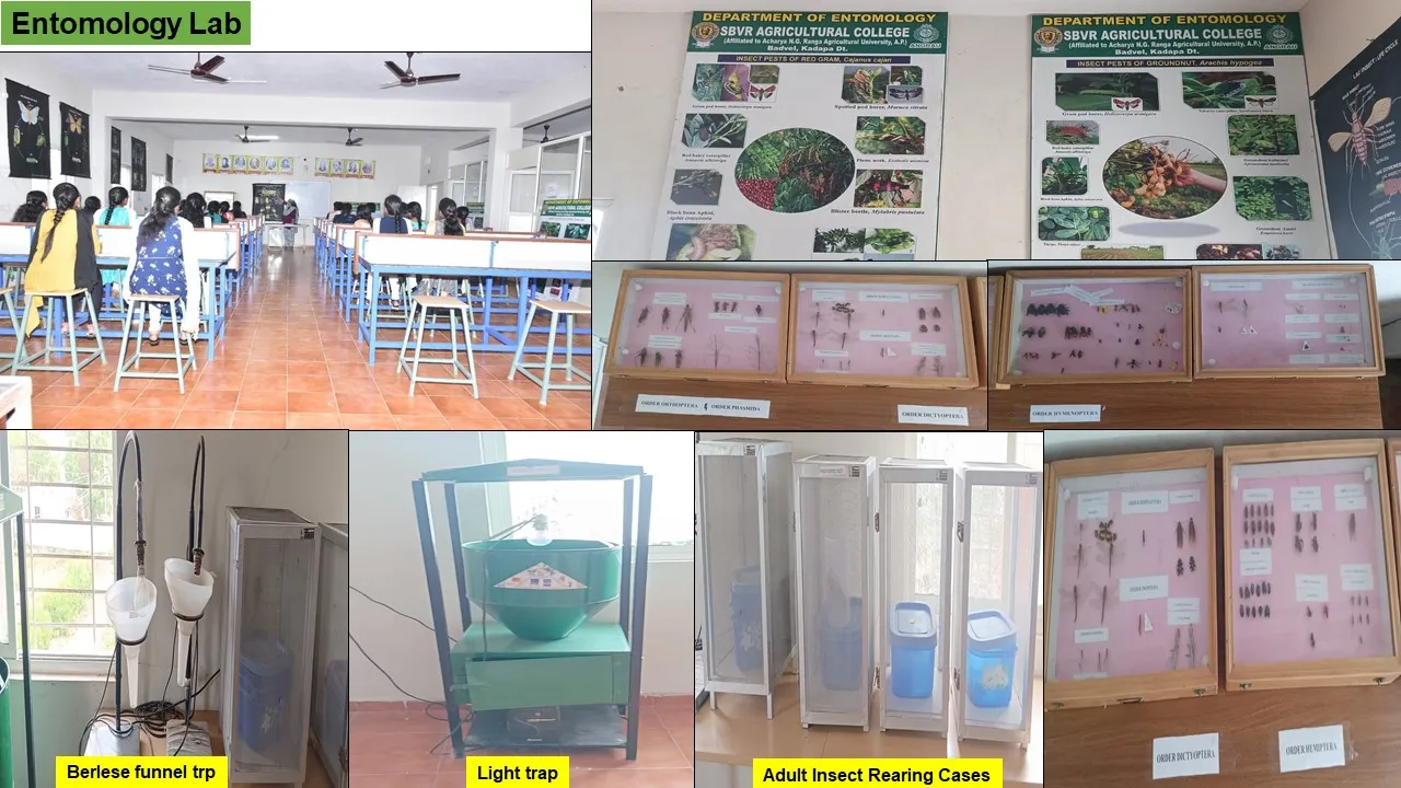 Entomology laboratory, with berlese funnel trap, light trap and adult insect rearing cases