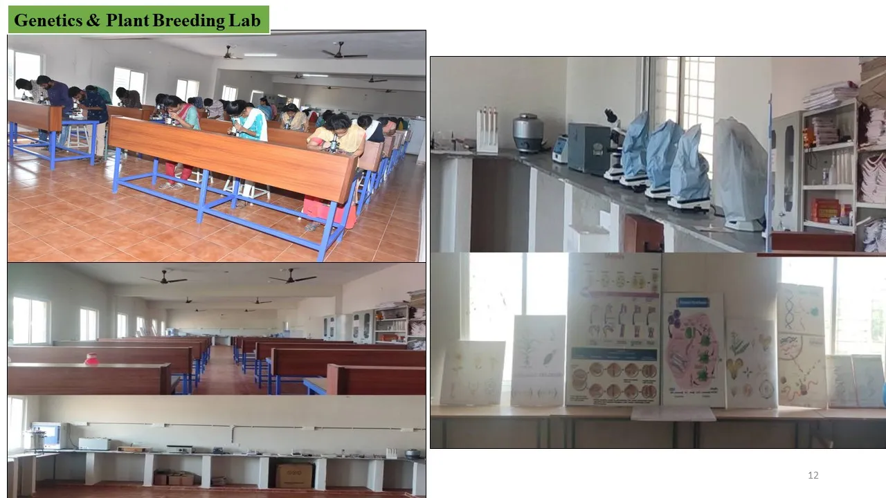 Genetics & Plant Breeding laboratory