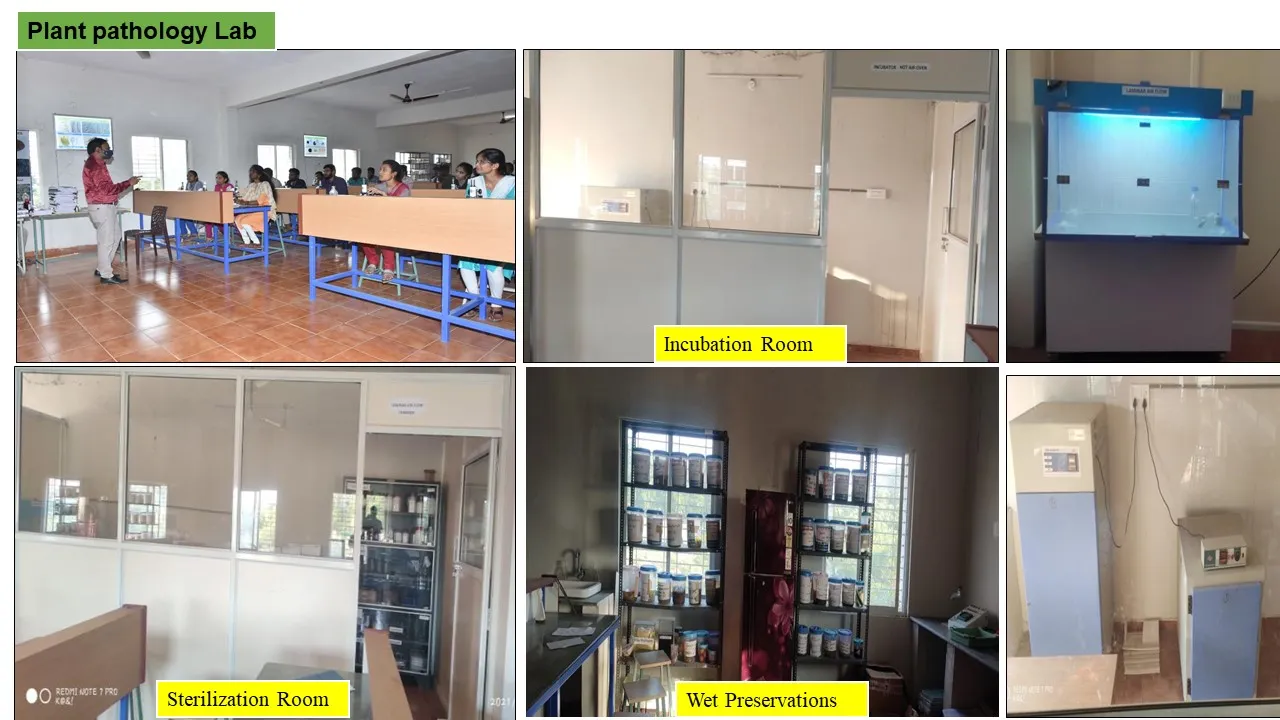 Plant Pathology laboratory, with isolation, sterilisation and wet preservation rooms