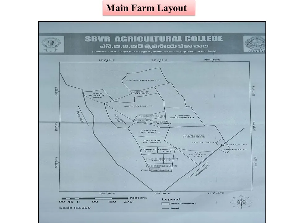 Layout plan of the main farm