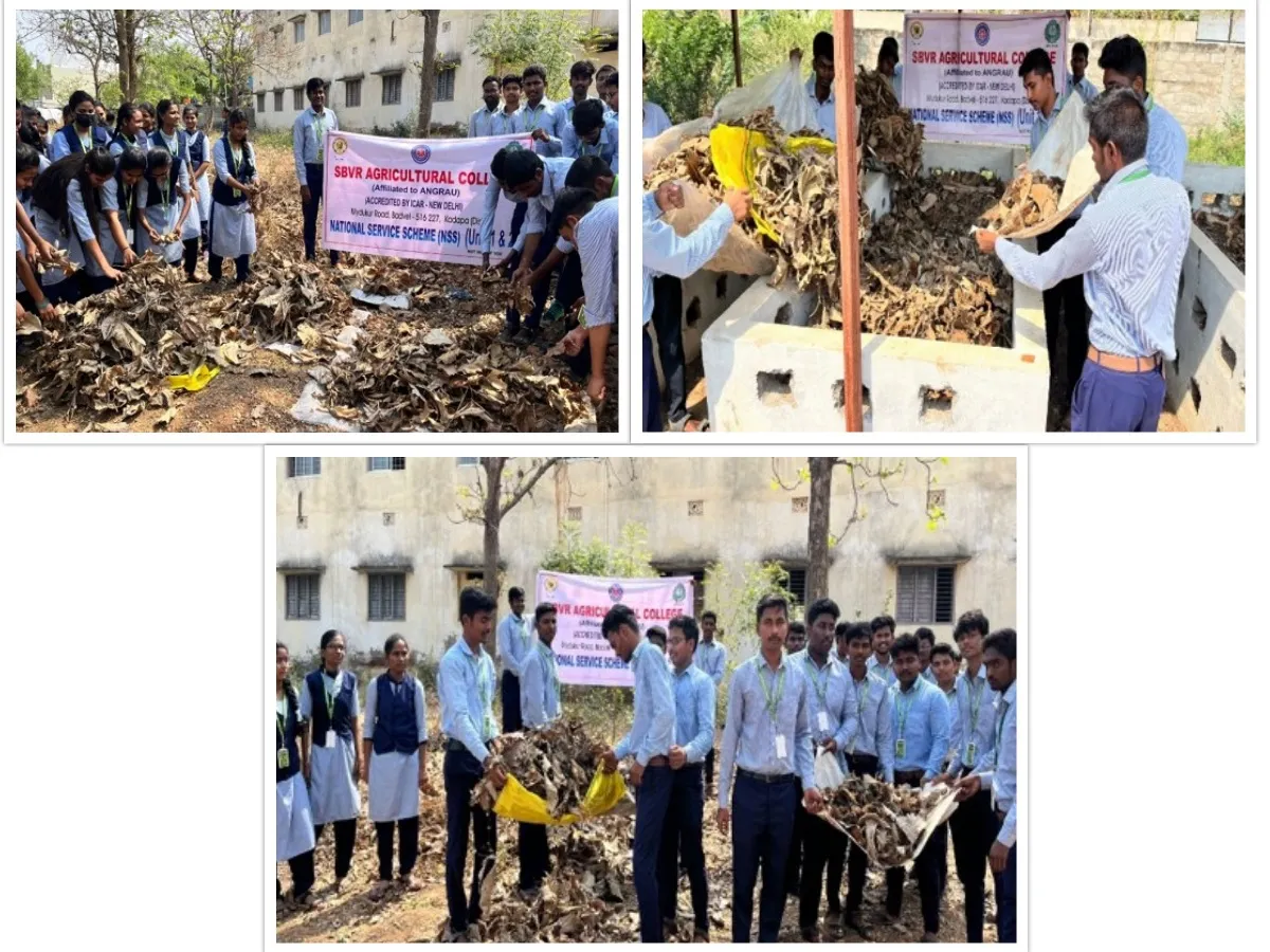 Cleaning and Green programme