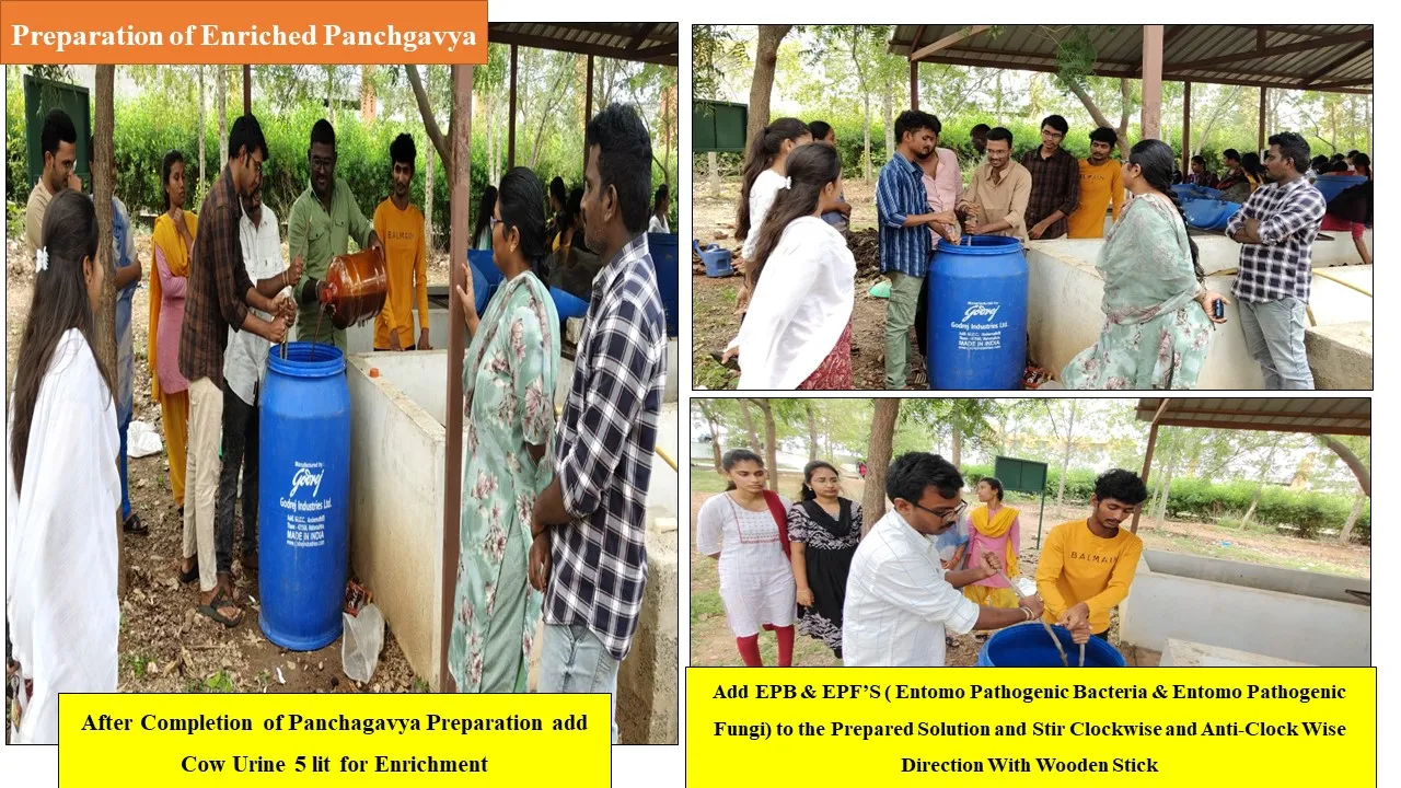 Enriched panchagavya preparation