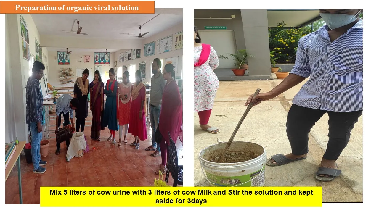 Organic viral solution preparation