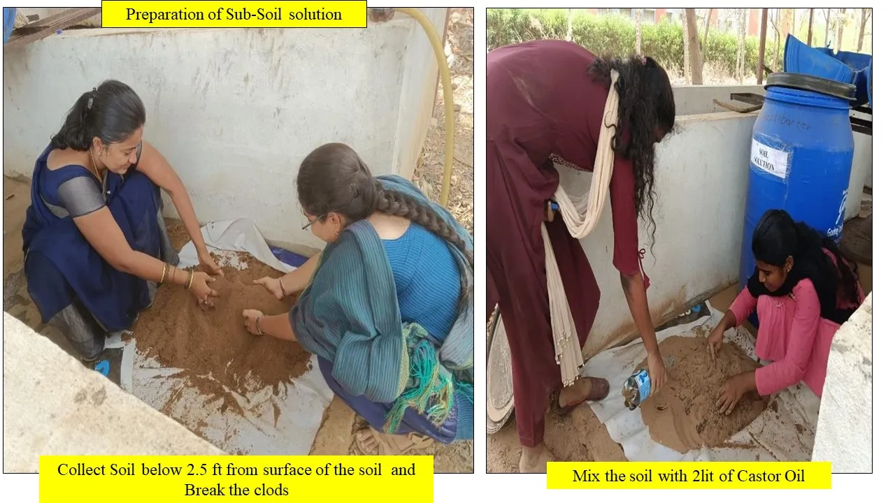 Sub-soil solution preparation