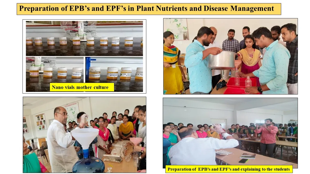 EPB and EPF nano culture preparation, explained to students