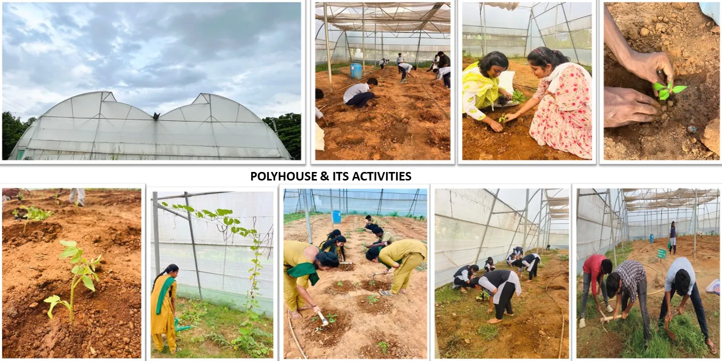 Polyhouse and its activities