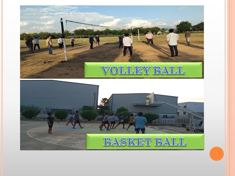 Volleyball and basketball courts
